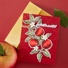 Hero Arts Clear Stamp & Cut - Apple Branch