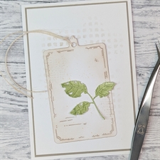 GummiApan DIE - Slidt Blad