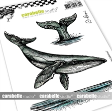 Carabelle Studio Cling Stamp Large - Le Chant des Baleines