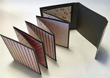 Accordion Mini Album