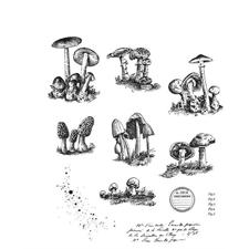 Tim Holtz Cling Rubber Stamp Set - Tiny Toadstools