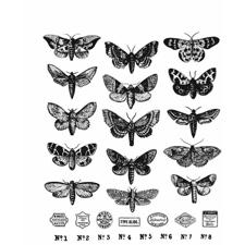 Tim Holtz Cling Rubber Stamp Set - Moth Study