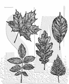 Tim Holtz Cling Rubber Stamp Set - Sketchy Leaves