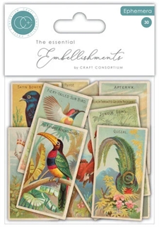 Craft Consortium Ephemera - The Collector / Birds (30 pcs)