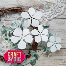 Craft & You Die - Apple Blossom 