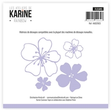 Les Ateliers de Karine Die - Rainbow Fleurs