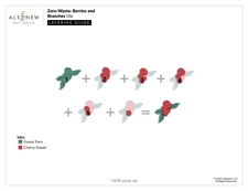 Altenew DIE - Zero Waste Berries and Branches