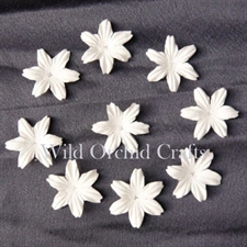 Wild Orchid Crafts - Foundation White Blooms 2,5 cm