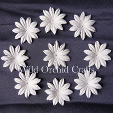 Wild Orchid Crafts - Foundation White Blooms 3,5 cm (100 stk.)