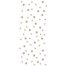 Spellbinders Hot Foil Plate - Celestial Star Background