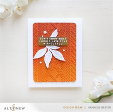 Altenew Stamp & Die Set - Mini Delight / Garden Friend (bundle/combo)