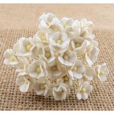 Wild Orchid Crafts - Sweetheart Blossoms / White (100 stk.)