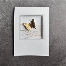 Simple and Basic Die - Square Frames and Window