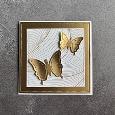 Simple and Basic Die - Square Frames and Window