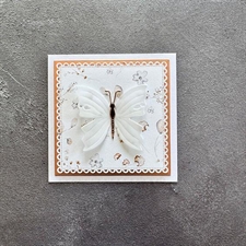 Simple and Basic Die - 10x10 Squares Scalloped Edges