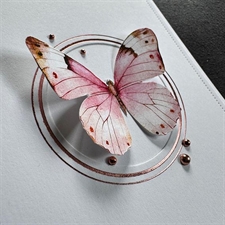 Simple and Basic Press & Hot Foil Plate - Circles