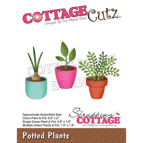 Cottage Cutz  Die - Potted Plants