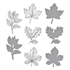 Spellbinders BetterPress Plate & Die Set - Autumn Leaves