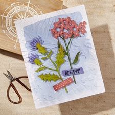 Spellbinders Dies - Field Notes Wildflowers