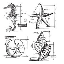 Tim Holtz Cling Rubber Stamp Set - Nautical Blueprint