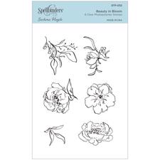 Spellbinders Clear Stamps - Beauty in Bloom
